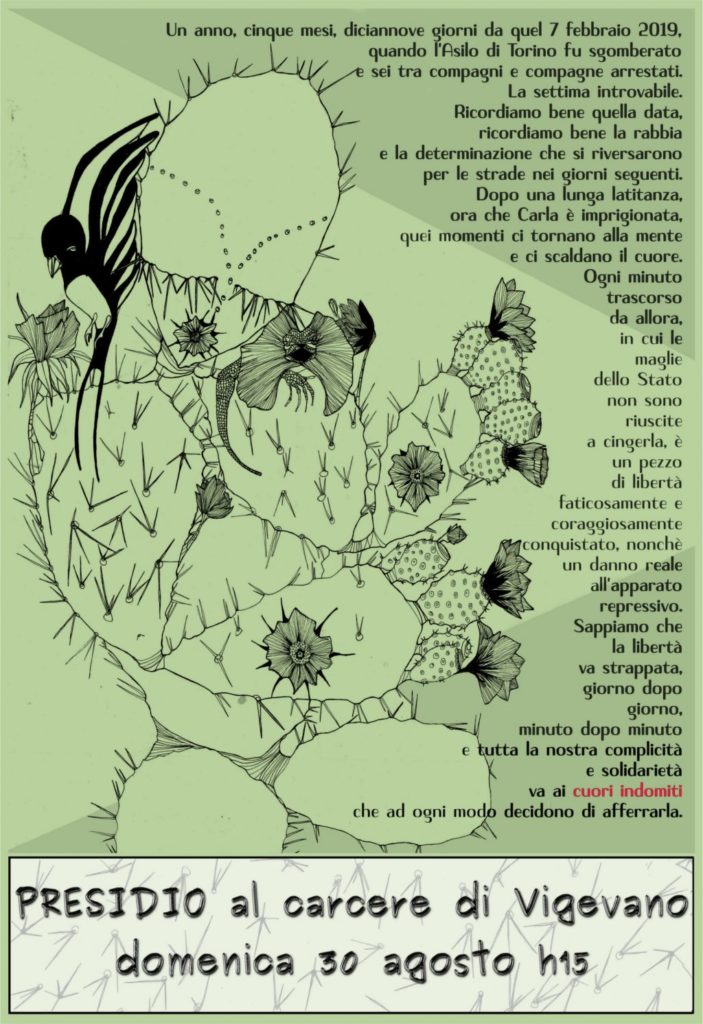 carlavig-1024x1492