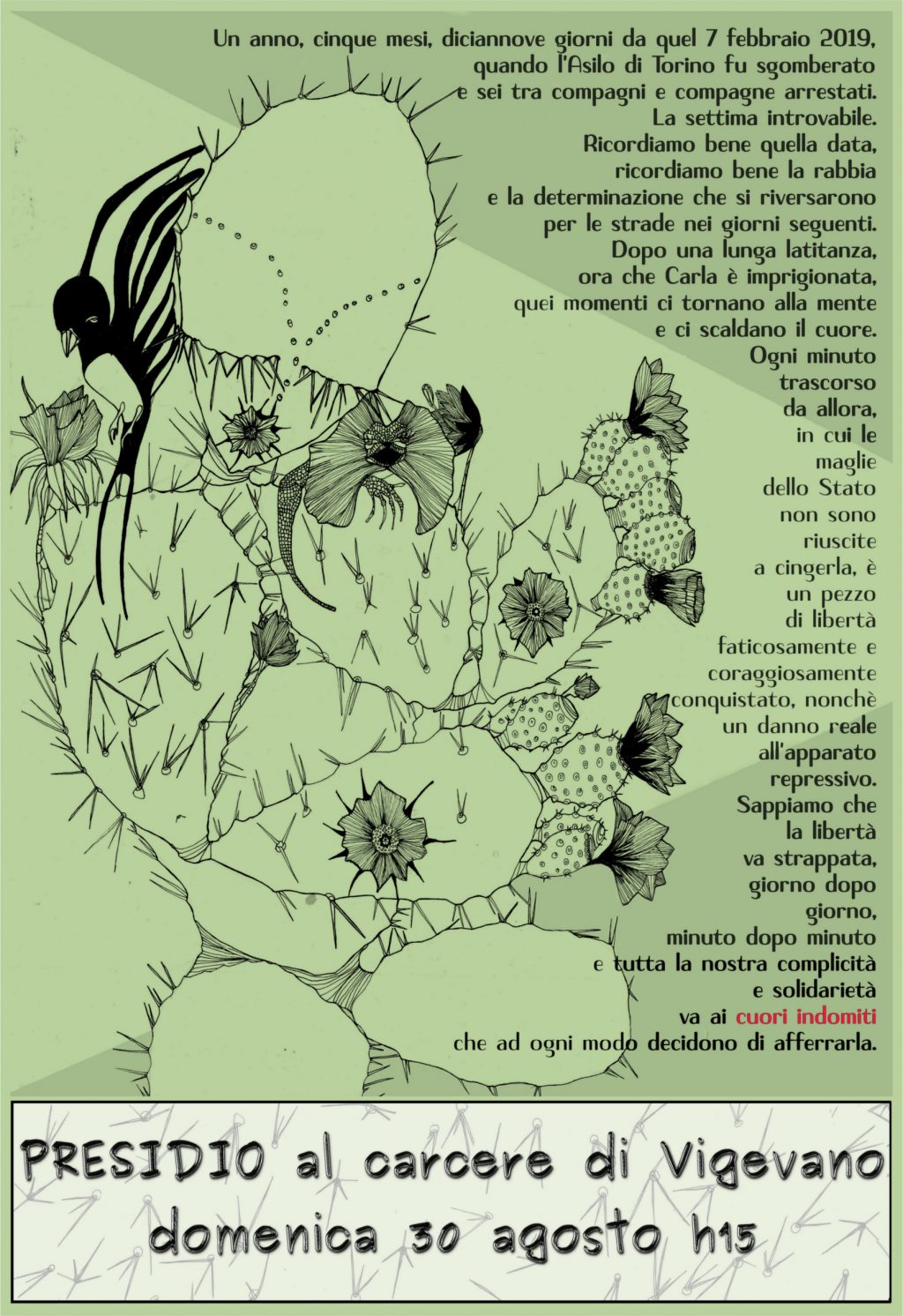 carlavig-1024x1492