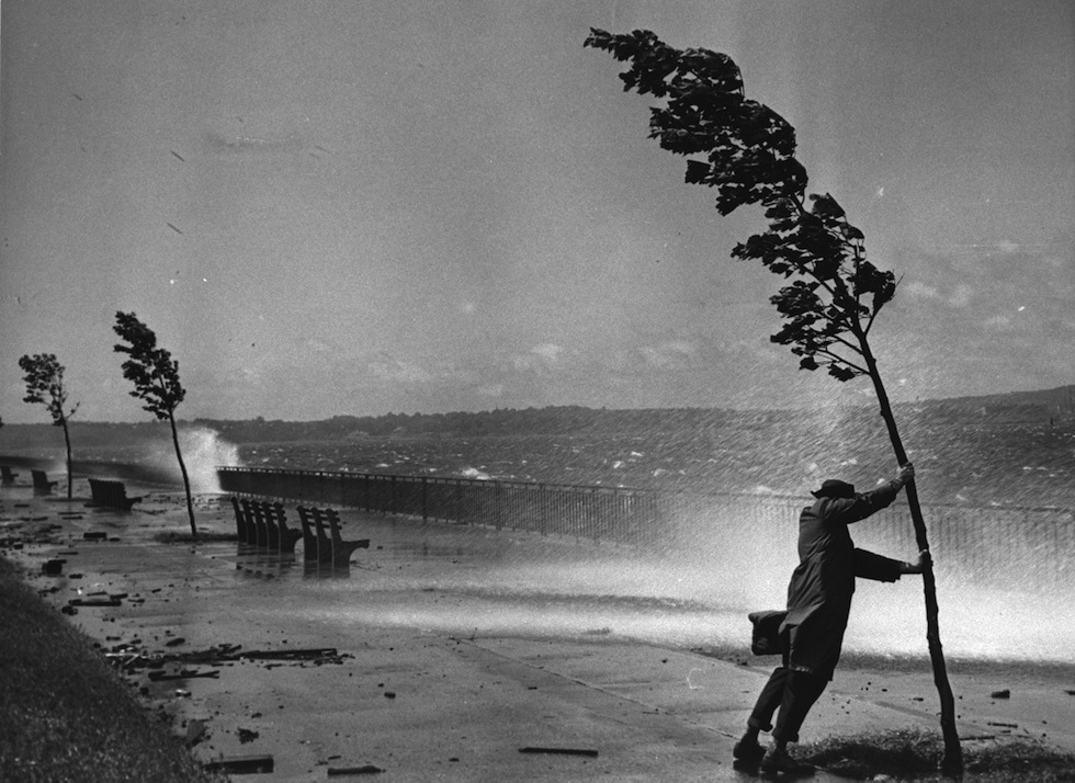 Man Clings To Tree During Hurricane Carol