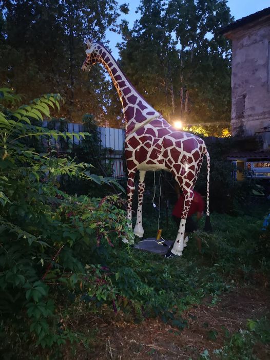 giraffa