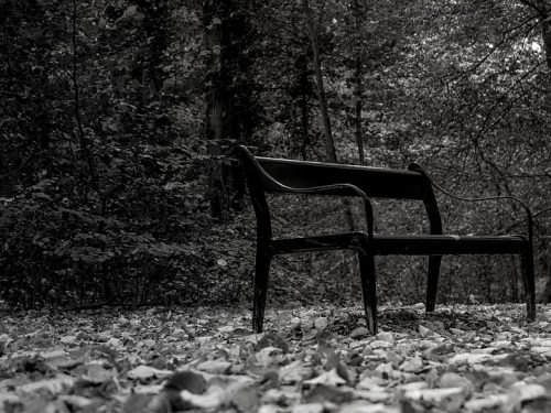 black-and-white-1992297_960_720-500x375