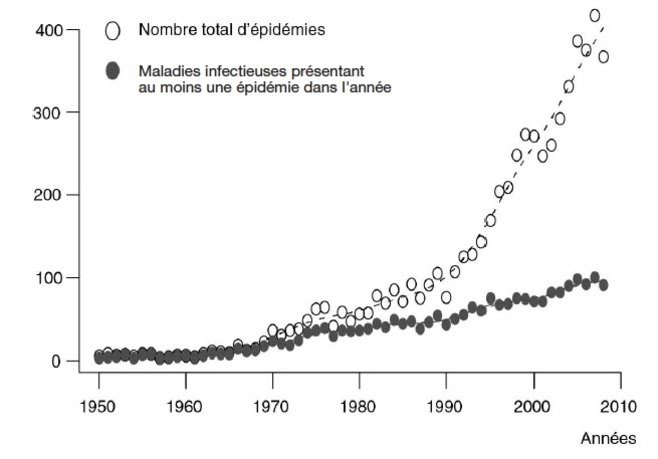 grafico