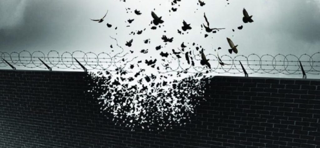 prisonbirds2