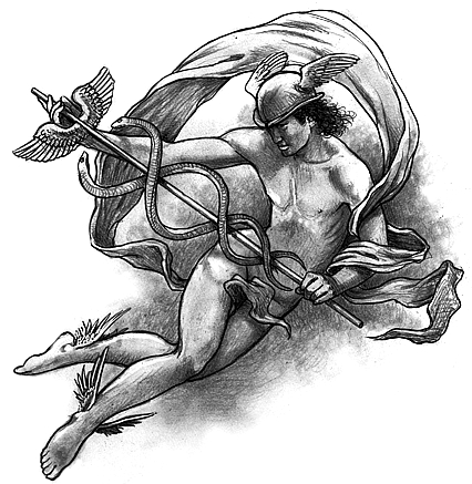 alimercurio