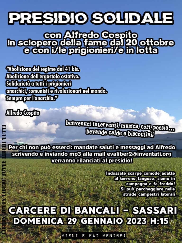 Domenica 29 gennaio 2023 web
