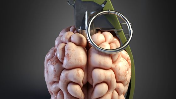 guerra ai cervelli