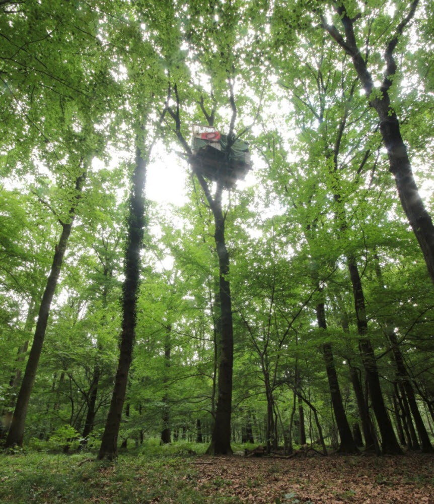 hambach-forest-squatters-212