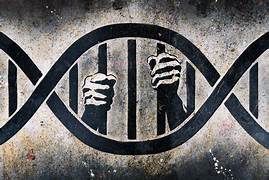 dna