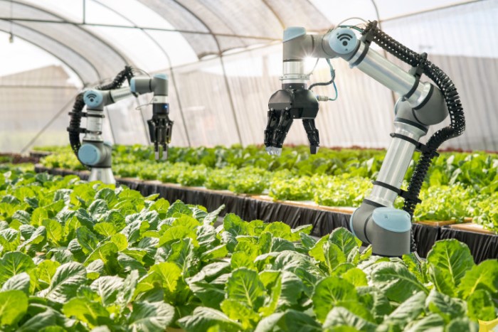 agricoltura-4.0-software-mercato-tecnologie