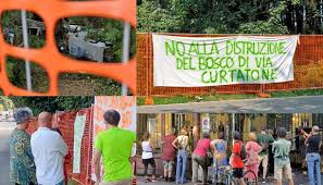 lotta al bosco