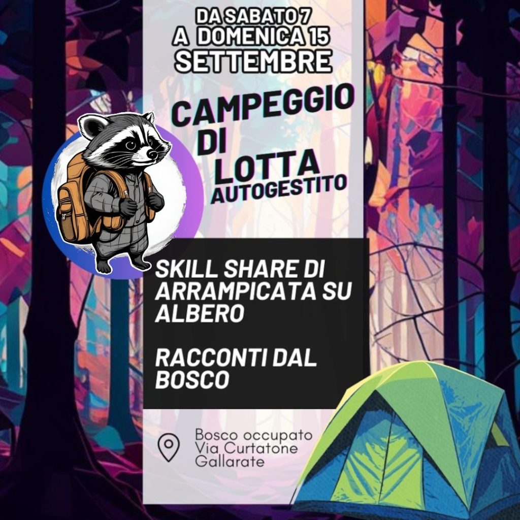 Immagine WhatsApp 2024-09-04 ore 12.56.14_9f3e0cb3