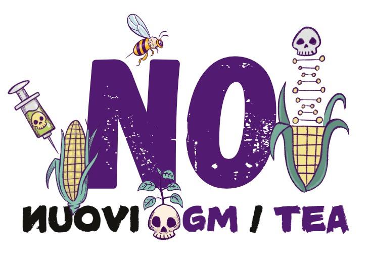 no-tea-gen2025