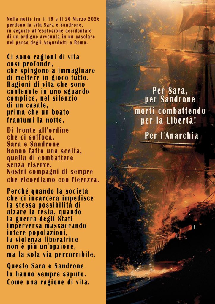 Sara Sandrone x web